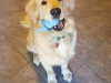 Franklin