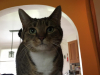 Miss Nixie