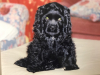 Oliver(1)