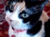 Thelma