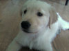 Tucker(1)